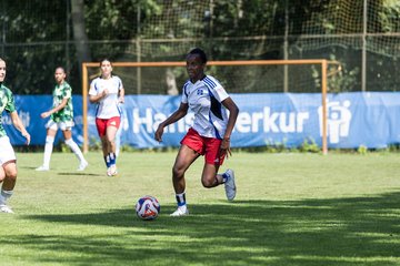Bild 385 - wBJ Hamburger SV - VfL Wolfsburg : Ergebnis: 5:1
